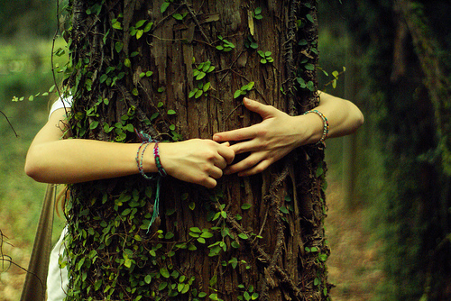 Arboterapia: la importancia de abrazar un árbol | Aconcagua.lat