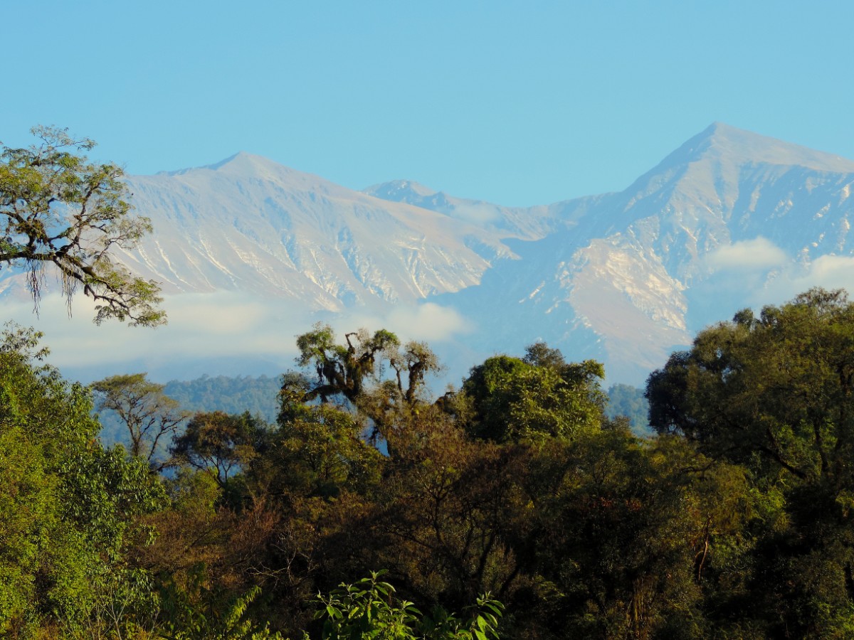 De La Selva A La Nieve Así Es El Nuevo Parque Nacional Aconquija Aconcagualat 7254