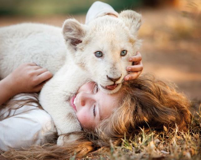 Mi mascota es un león': cuando la amistad es la aventura más salvaje |  