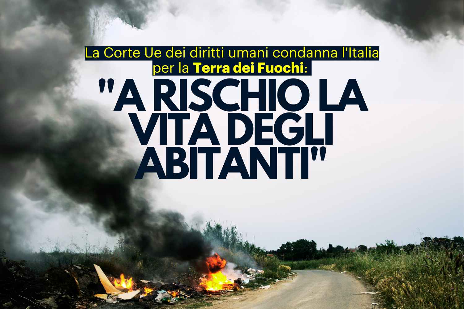 sentenza terra dei fuochi