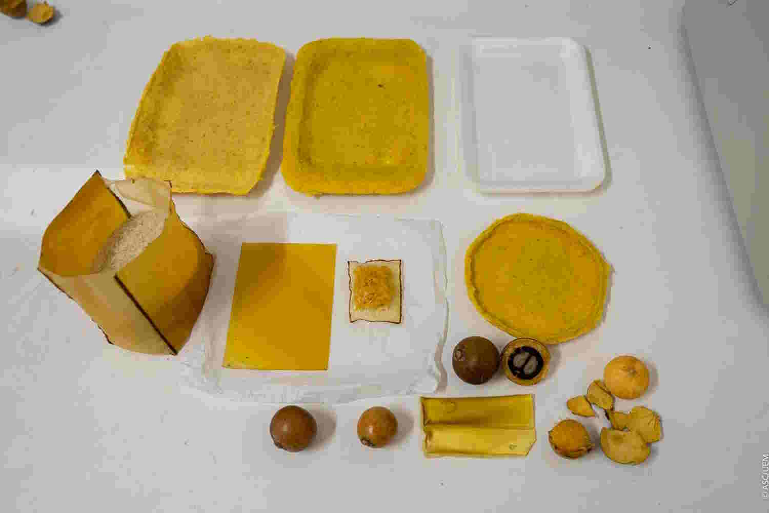 ¿Se cuentan las horas de plástico? La invención que usa la palma de macaúba para un futuro sin poliestireno