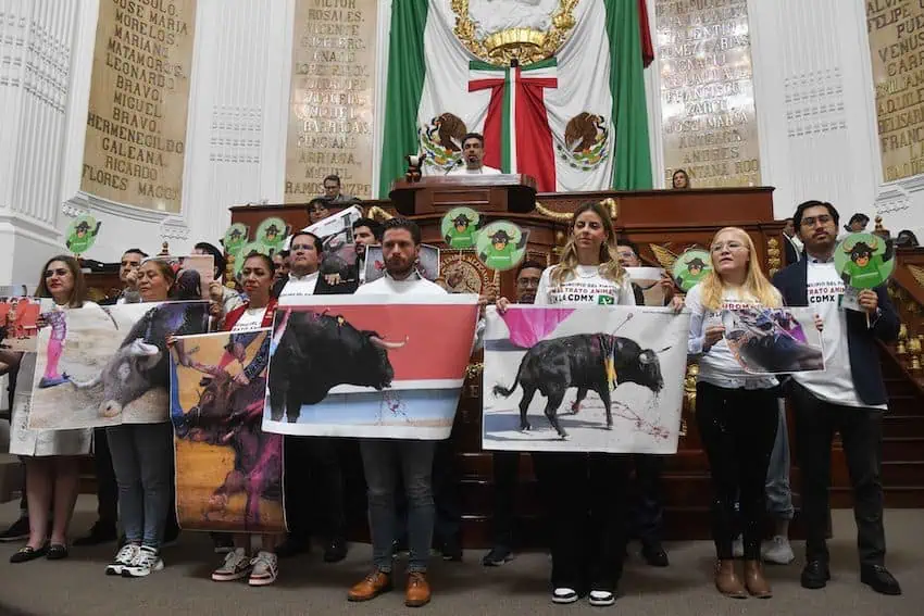 CDMX governing body