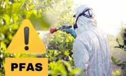 California envenenada por pesticidas con PFAS: más de un millón de kilos fumigados cada año en campos de cultivo