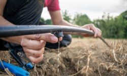 ¿El sector agrícola de México está experimentando una crisis hídrica?