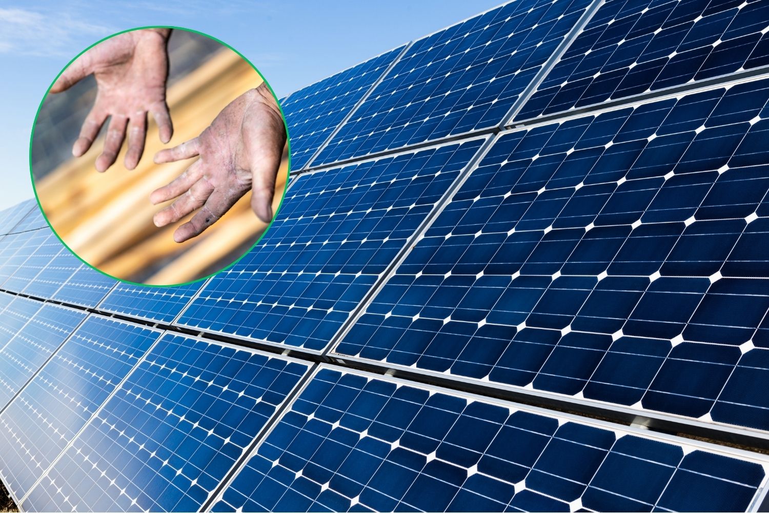 La Compañía de Energía del Estado del Reino Unido prohíbe los paneles solares "de esclavitud"