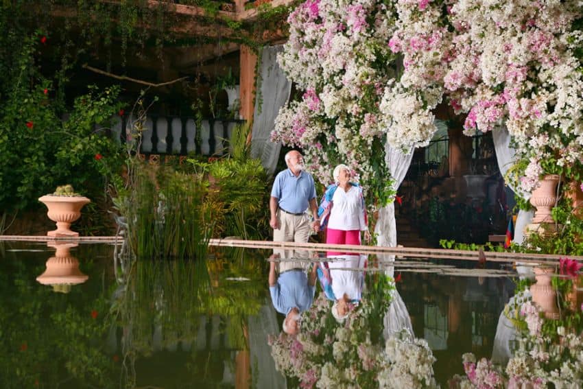 Una pareja de ancianos caminando de la mano en un jardín botánico con una gran fuente en primer plano.