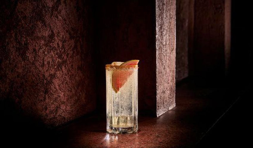 Clear cóctel en una taza de cerveza de vidrio sentada en una superficie de madera oscura manchada.