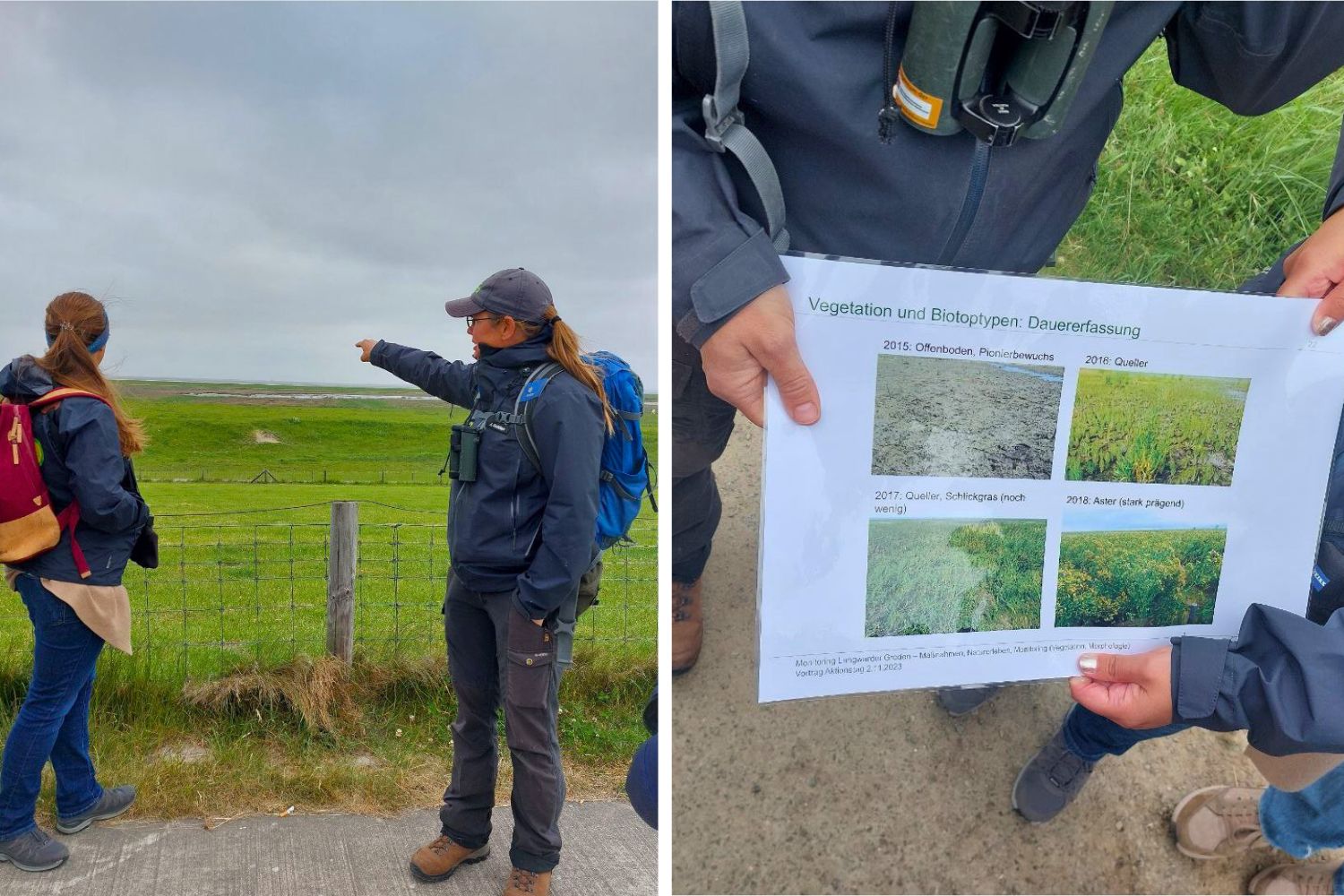 Groden de Langwarder