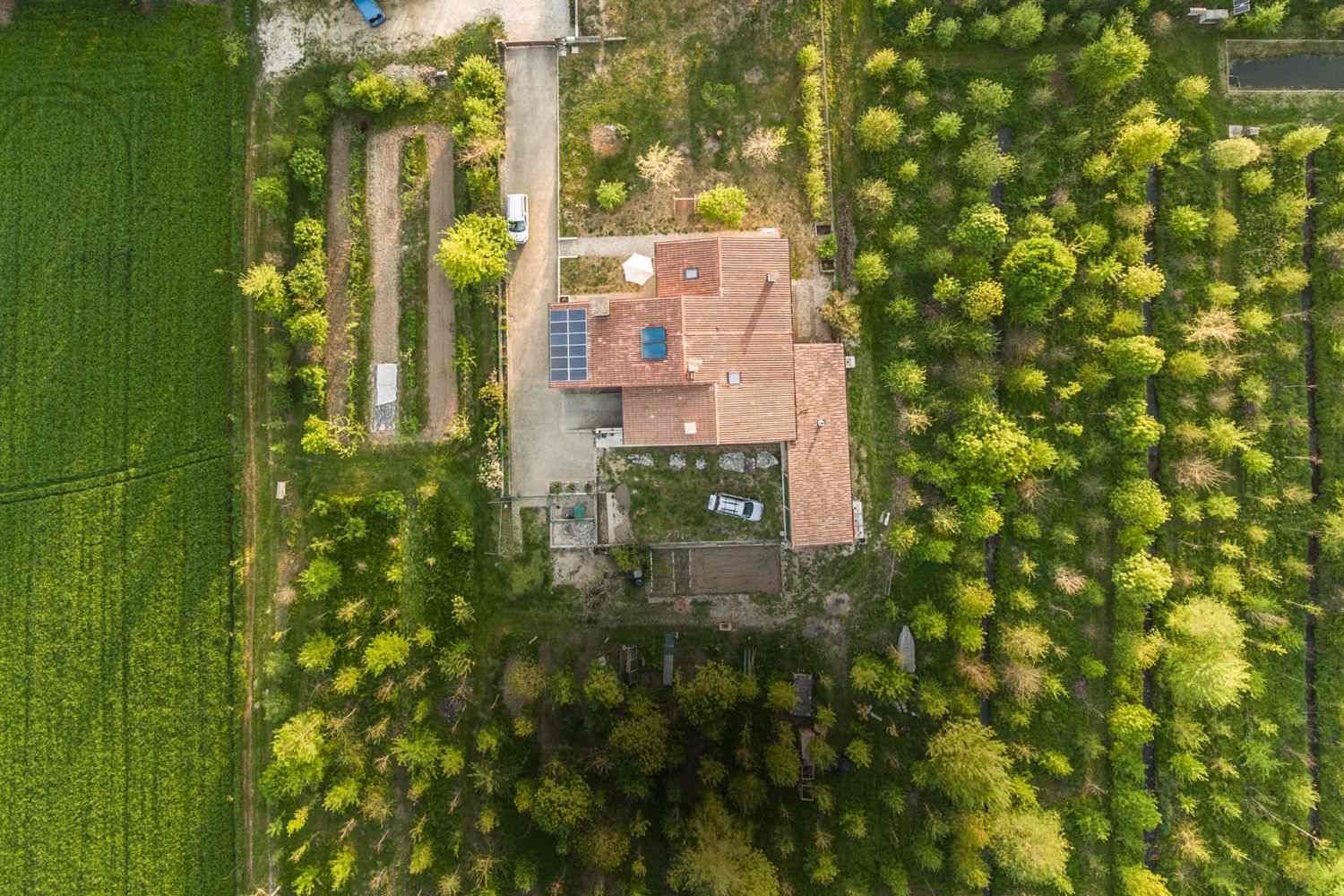 Límite del bosque Bosque