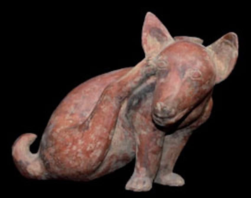 Un artefacto mexicano de un perro