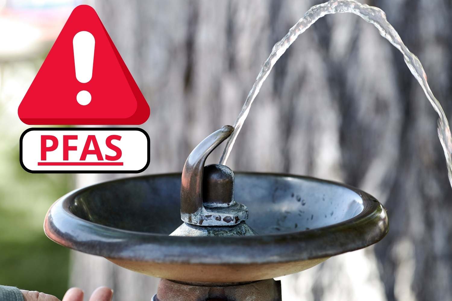 acqua fontanelle pfas