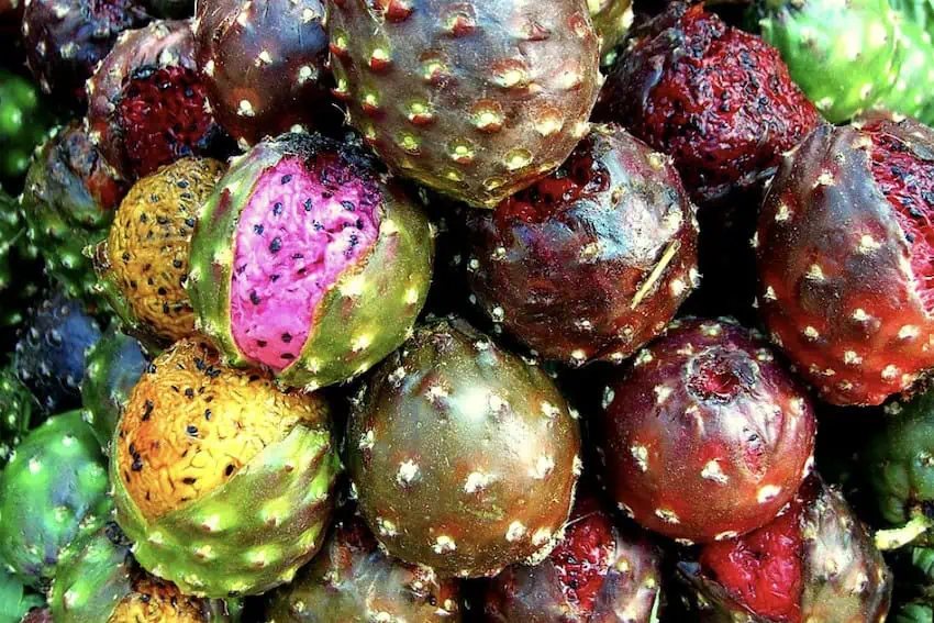 Pitayas