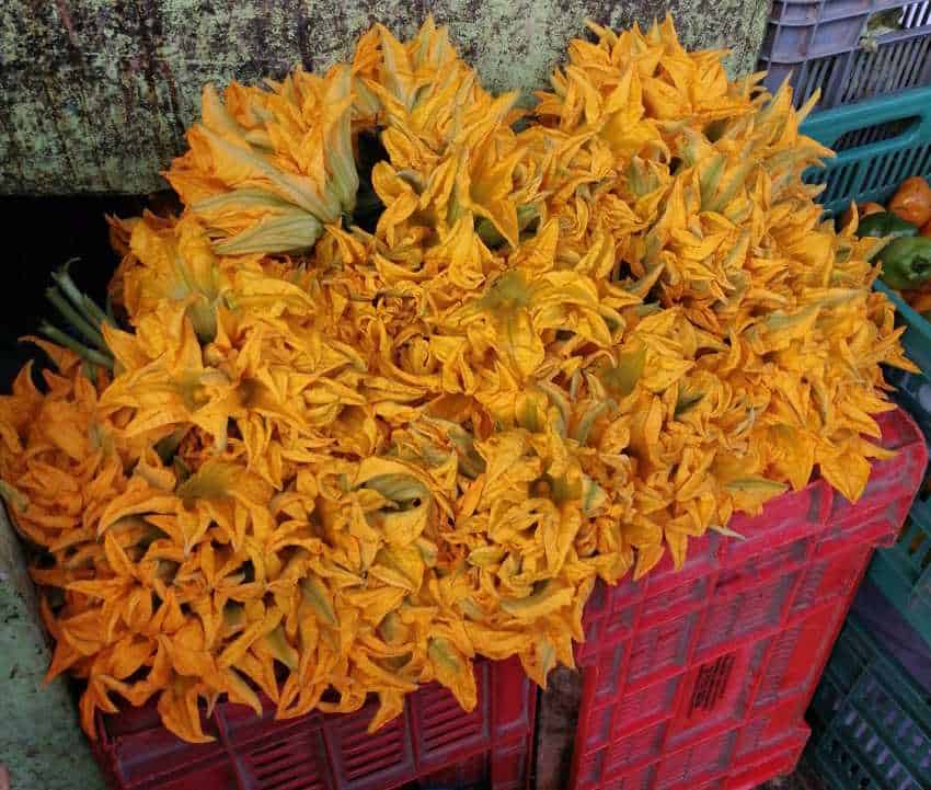 Los grupos de flores frescas de calabaza amarilla-naranja brillante con toques de tallos verdes se amontonan en una caja roja de mercado plástico ranurado, con otras cajas sutilmente visibles en el fondo.