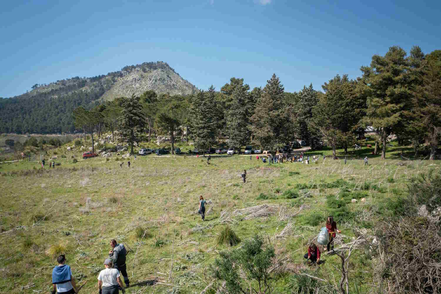 Bosco dei siete cielos