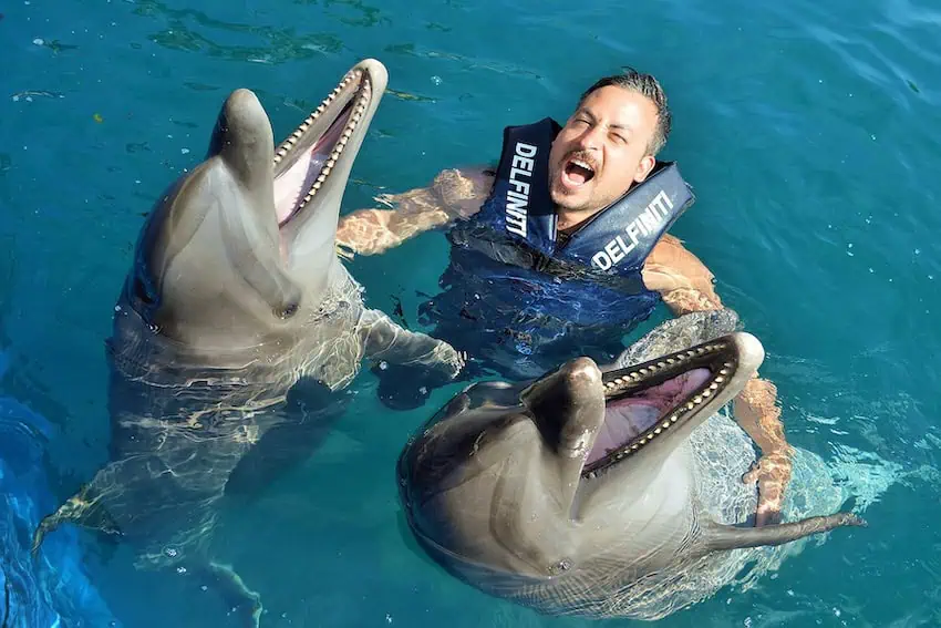 A man swimming with two dolphins at Delfiniti Ixtapa dolphinarium