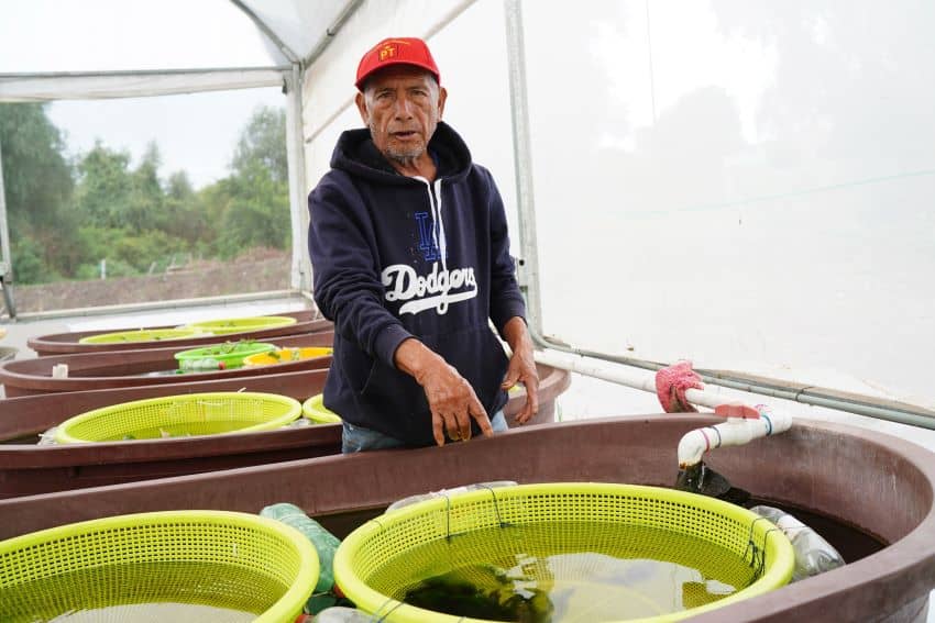 Israel Correa, uno de los pescadores que trabajan para salvar el acroqueo de la extinción