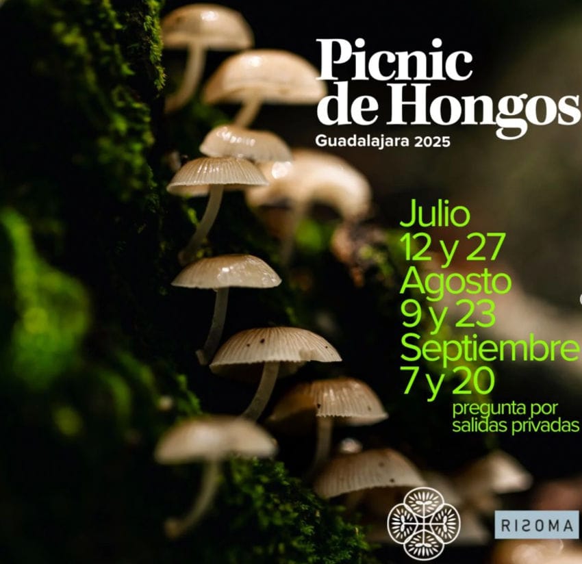 El póster promocional para el picnic de Hongos (picnic de hongos) muestra fechas de hongos y listas de listas, incluidos el 9 y 23 de agosto de 2025, cuando el chef Fabián Delgado lideró un picnic gourmet en los bosques fuera de Guadalajara.