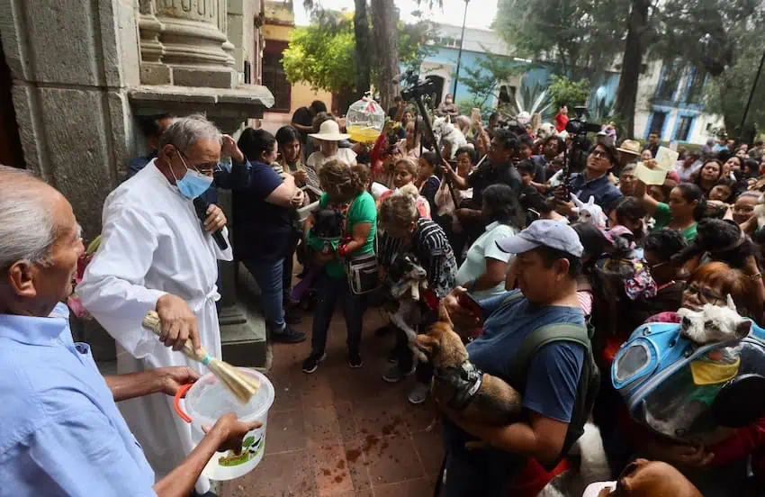 Una multitud que se reúne en una catedral para ofrecer a sus mascotas por bendición