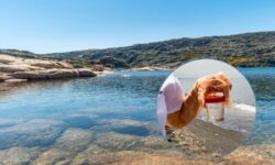 Aguas italianas contaminadas por glifosato, mercurio y PFAS: la alarma en el nuevo informe del Istat