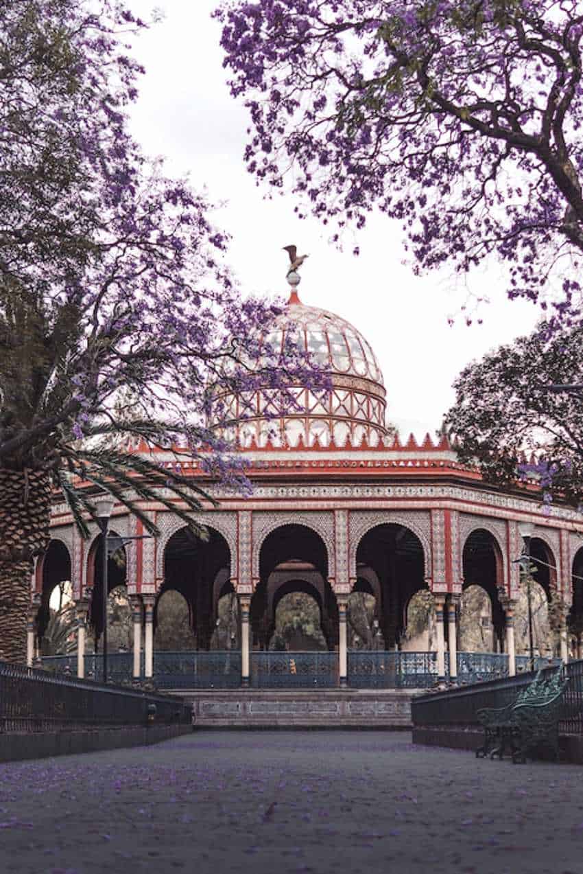 El Ornado Kiosco Morisco en la Ciudad de México. El quiosco al aire libre de estilo rojo de madera/estilo Mujedar tiene un techo abovedado y intrincados arcos. Está dentro de un parque y enmarcado por las flores moradas de los árboles de Jacaranda en flor.