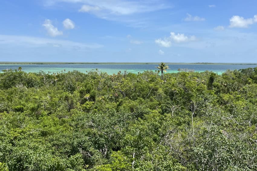 Jungle de Sian Ka'an