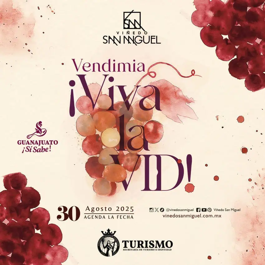Gráfico promocional para el "Vendimia ¡Viva La Vid!" Festival de cosecha de uva en la bodega Viñedo San Miguel en Guanajuato, México, programado para el 30 de agosto de 2025. El póster presenta ilustraciones de acuarela de uvas e incluye los logotipos para el turismo de Guanajuato y Viñedo San Miguel.