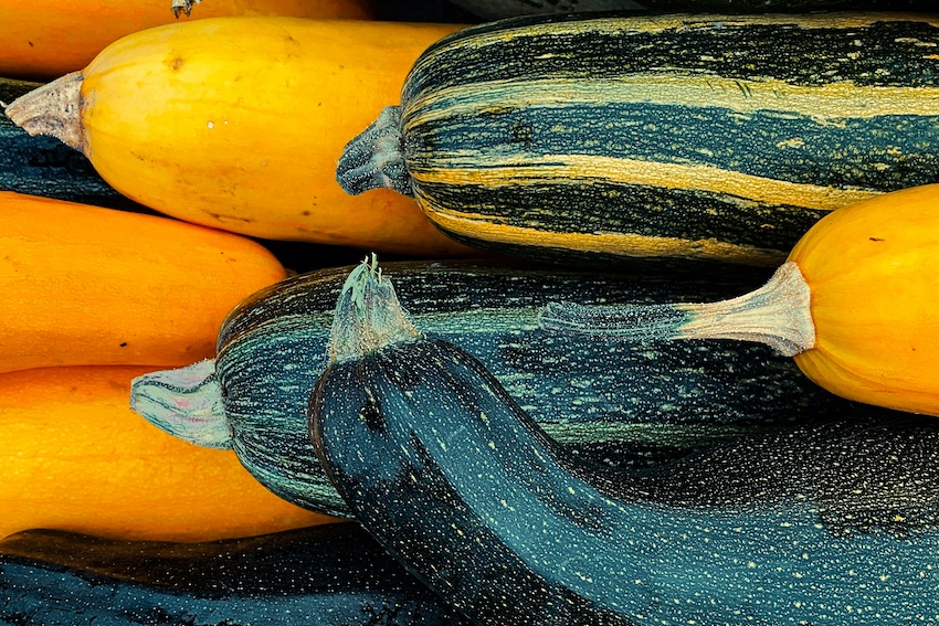 Mexican squash plants
