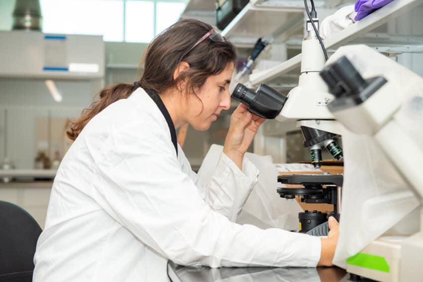 Mujer científica en una bata de laboratorio blanco en un laboratorio, mirando un microscopio