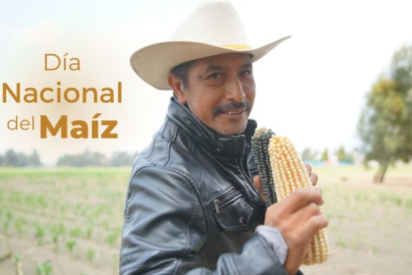 Día del maíz en México