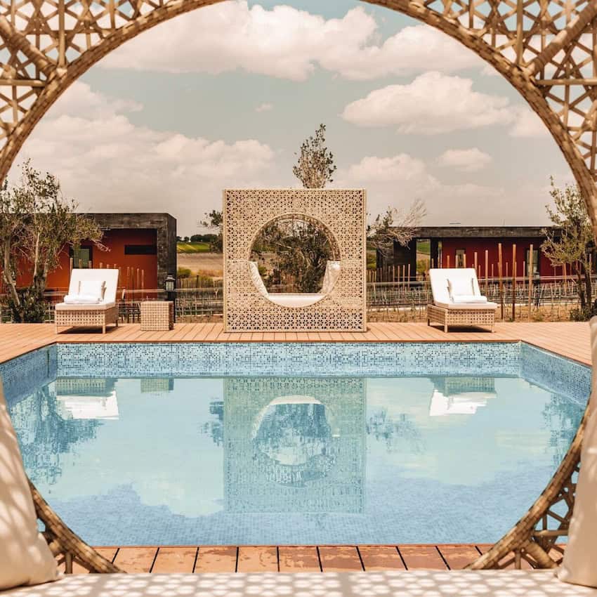 Tres Raíces Vineyard