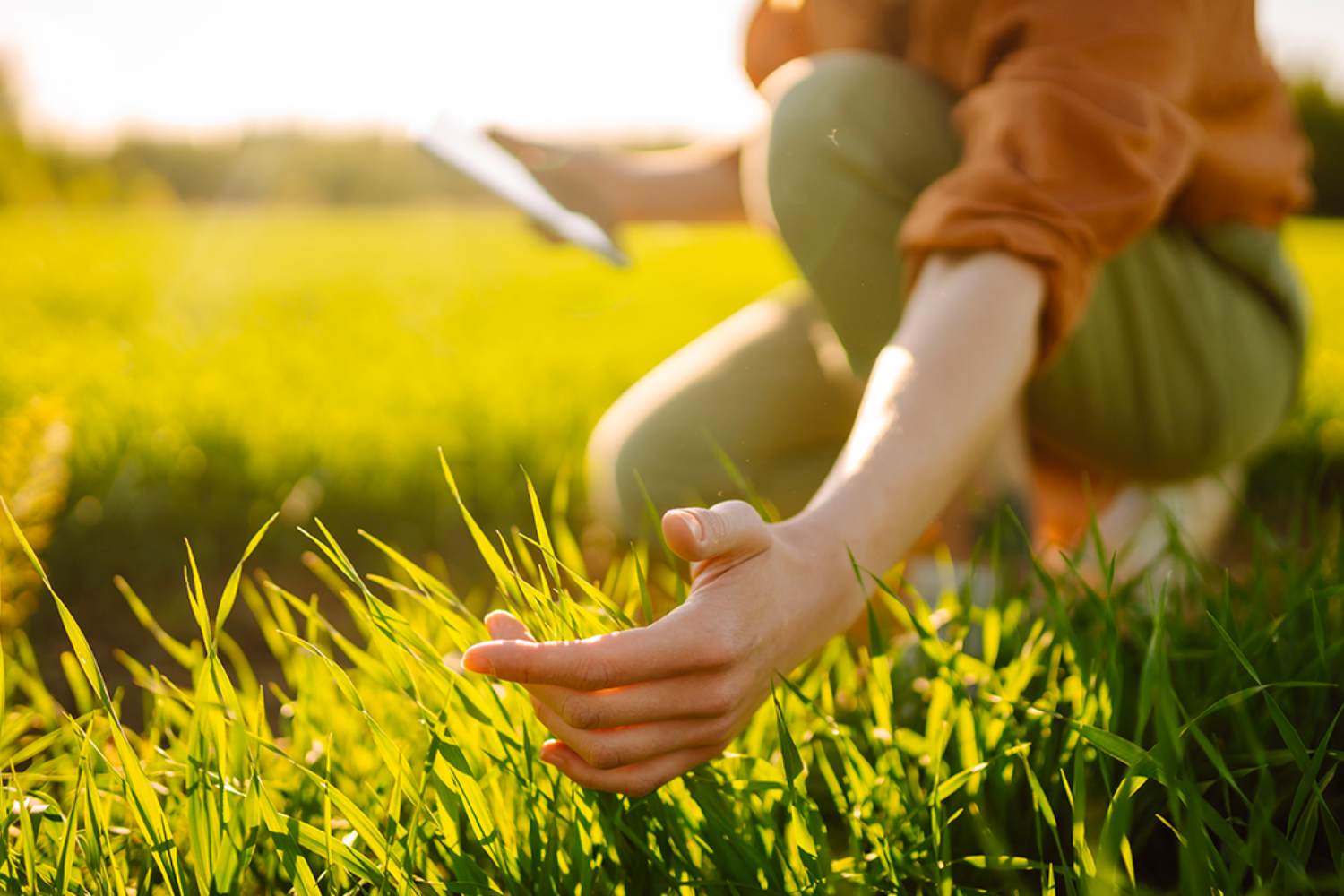 Servizio civile agricolo