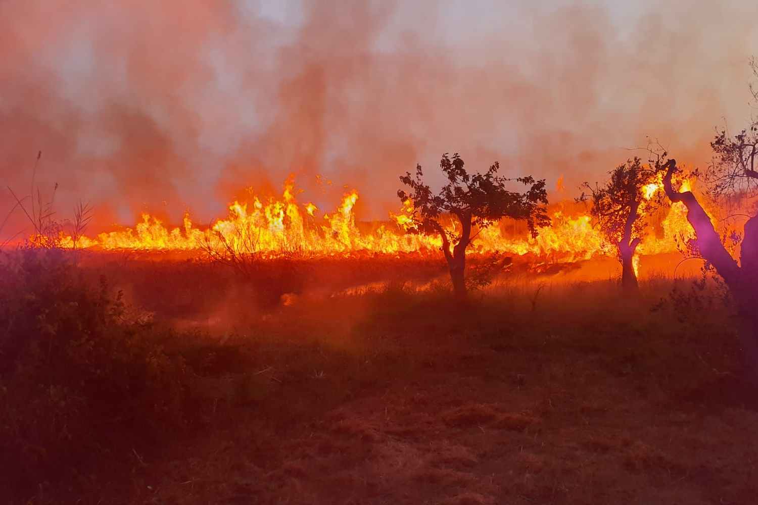 incendios