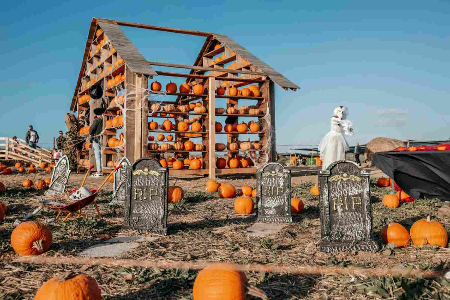 Granja de la calabaza