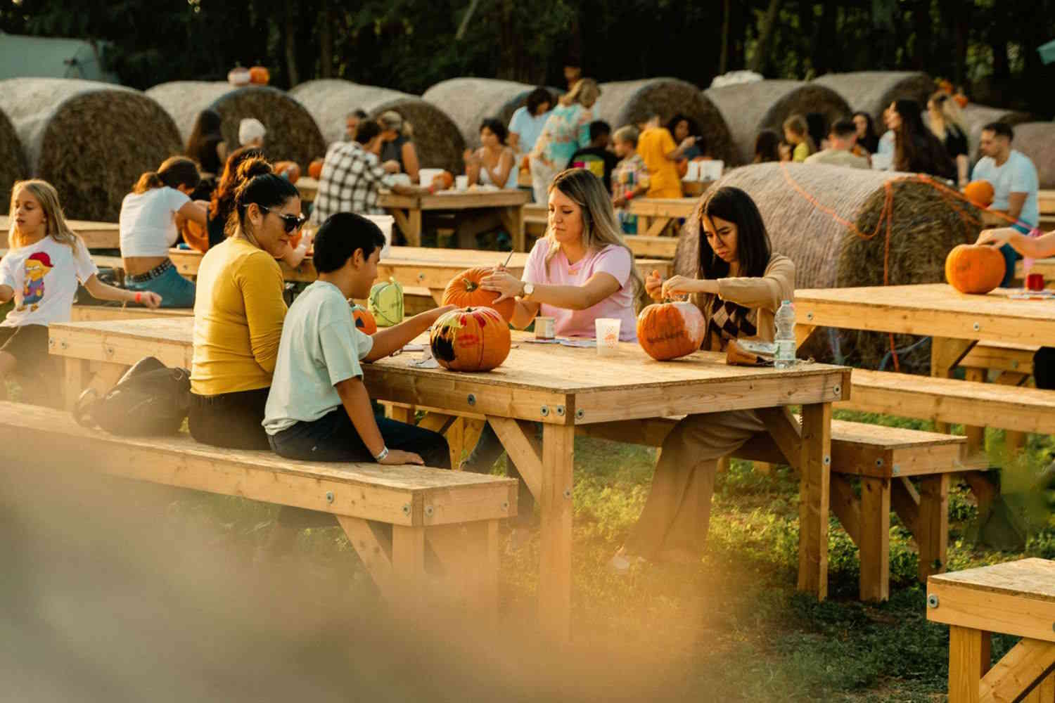 Campo de calabaza de Federica