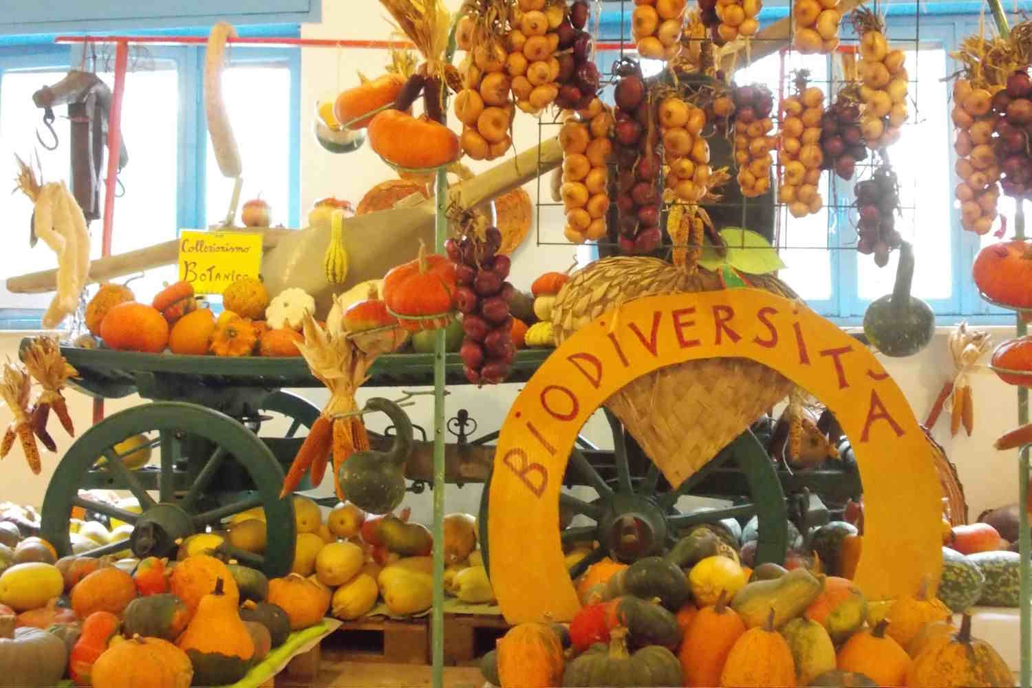 La casa de calabazas