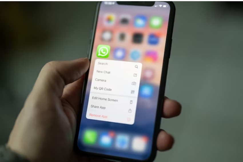 Pantalla Moblie con cierre del menú de WhatsApp e imágenes de fondo.