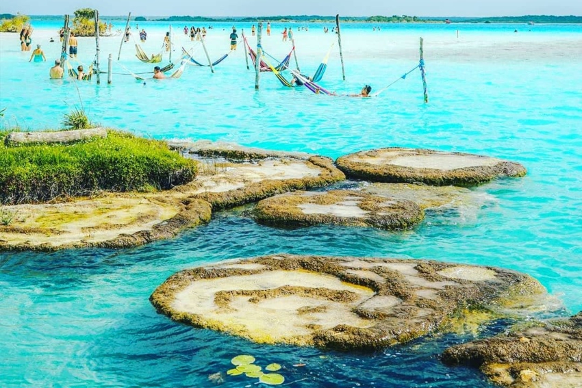 Stromatolites in Bacalar Lagoon