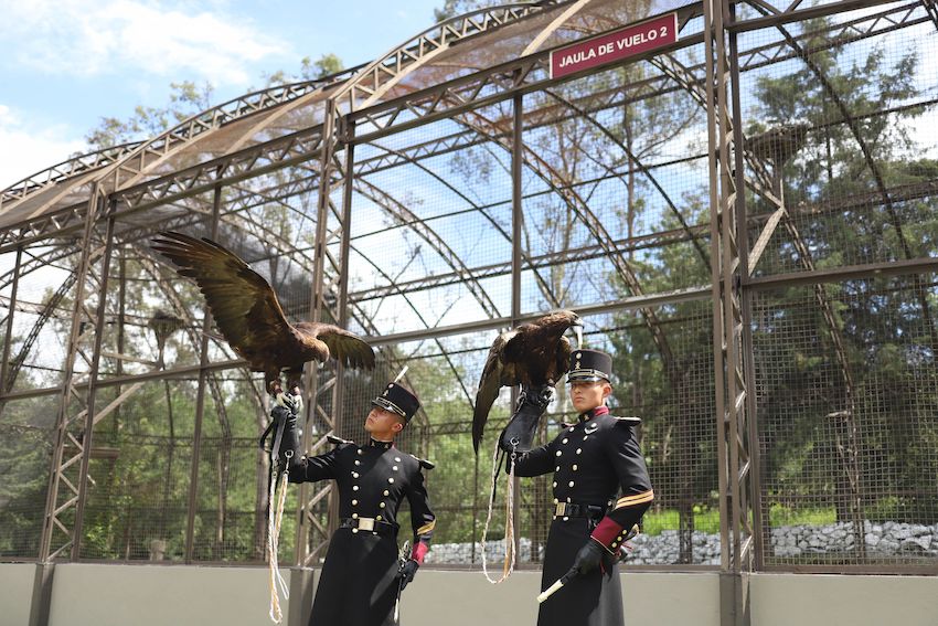Two cadets from the Heroic Military College pose alongside two golden eagles, which are cared for by Mexico