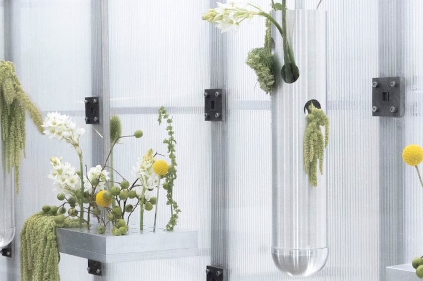 CDMX Design Open se hace cargo de ChapultePec con las malas hierbas del tema. Diseño en resistencia '