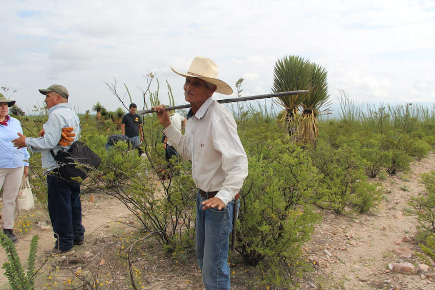 Un anciano miembro del ejido con sombrero de vaquero y jeans, cargando una herramienta al hombro mientras camina con otros defensores de la tierra a través de la maleza en Wirikuta, México.