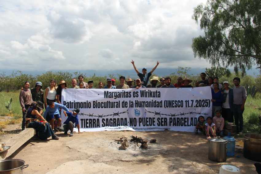 Un grupo de ejidatarios, wixárika y simpatizantes, en Wirikuta sosteniendo una pancarta que dice: "Margaritas es Wirikuta Patrimonio Biocultural de la Humanidad (UNESCO 11.7.2025) / TIERRA SAGRADA NO PUEDE SER PARCELADA" ("Margaritas es Wirikuta Patrimonio Biocultural de la Humanidad... LA TIERRA SAGRADA NO PUEDE SER PAQUETADO").