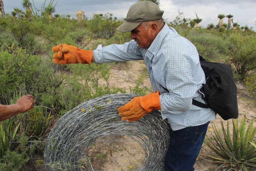 Ejido member in work gloves rolling up a coil of barbed wire that was removed from the Las Margaritas ejido in Wirikuta.