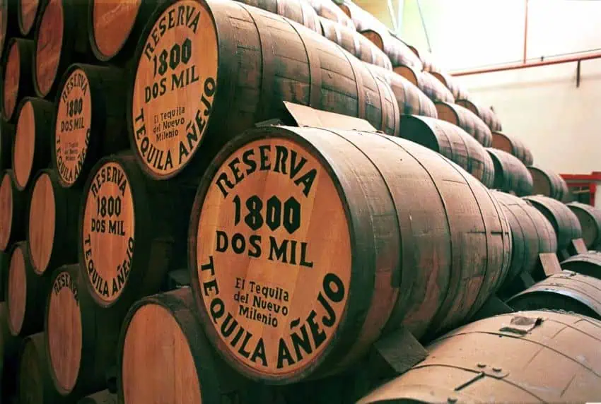 Barriles de tequila sobrantes almacenados