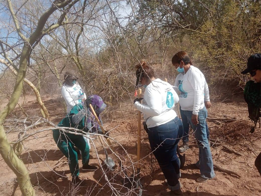 Mujeres vestidas con camisetas del colectivo Buscadoras Por La Paz cavan un todo en busca de cuerpos de personas desaparecidas en el desierto cerca de Hermosillo