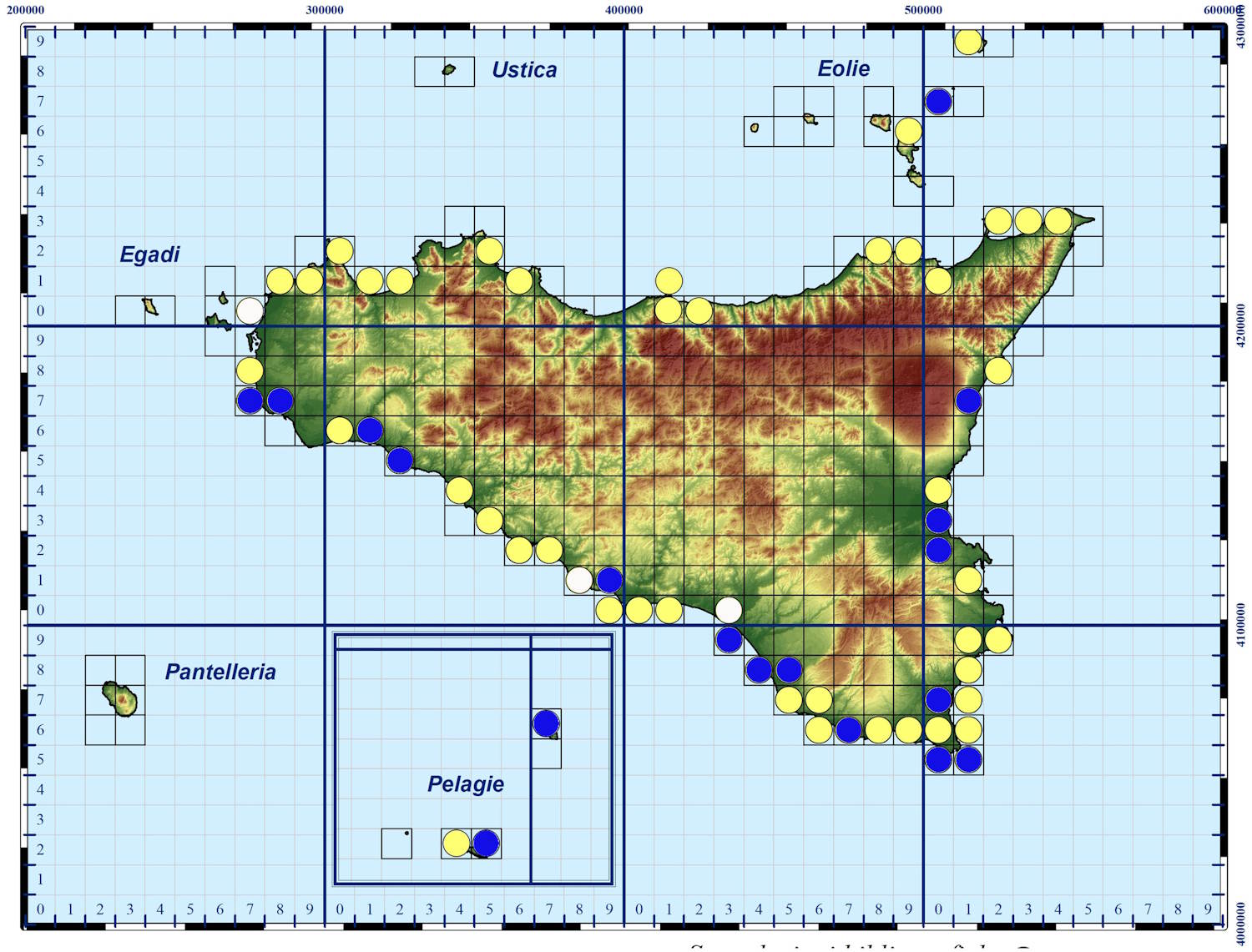 récord de nidos 2025 tortugas marinas