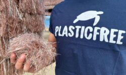 ¡Basta de plástico en las playas! Pescara prohibirá los paraguas de rafia sintética
