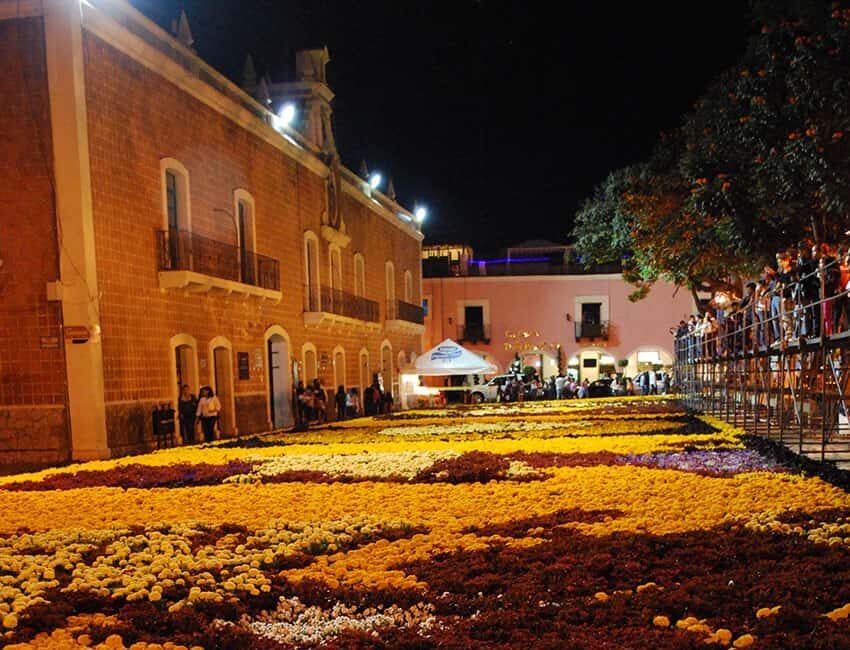 Alfombra de flores para Día de Muertos