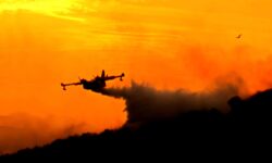 2025 es el año negro para los bosques italianos: 94.000 hectáreas perdidas entre incendios y retrasos