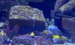 Impresionante hallazgo en el Mediterráneo: un buceador descubre el mayor tesoro jamás encontrado