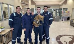 Perro rescatado de un contenedor marítimo emociona al mundo con el gesto más conmovedor